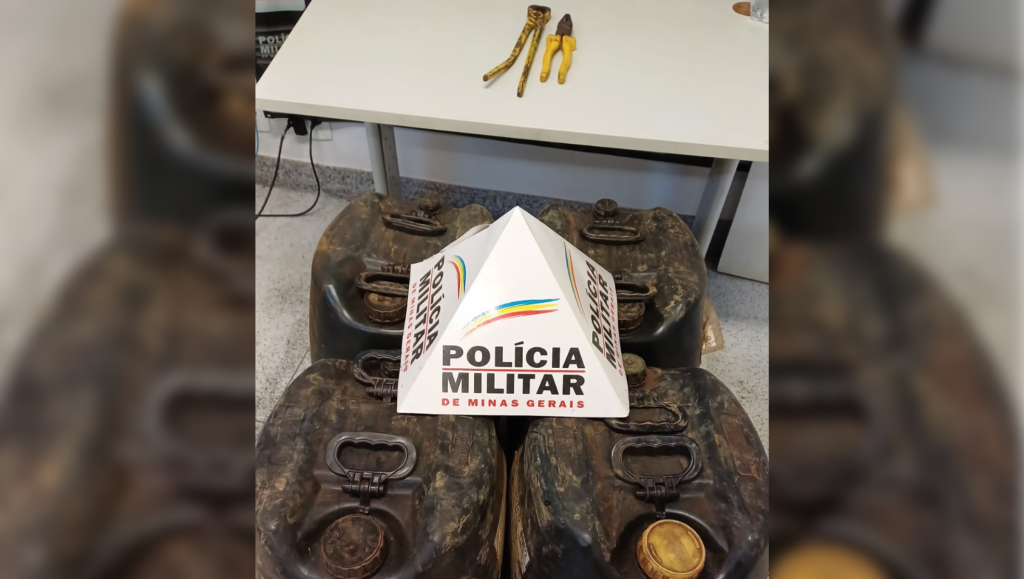 Tentativa de furto é frustrada em empresa às margens...