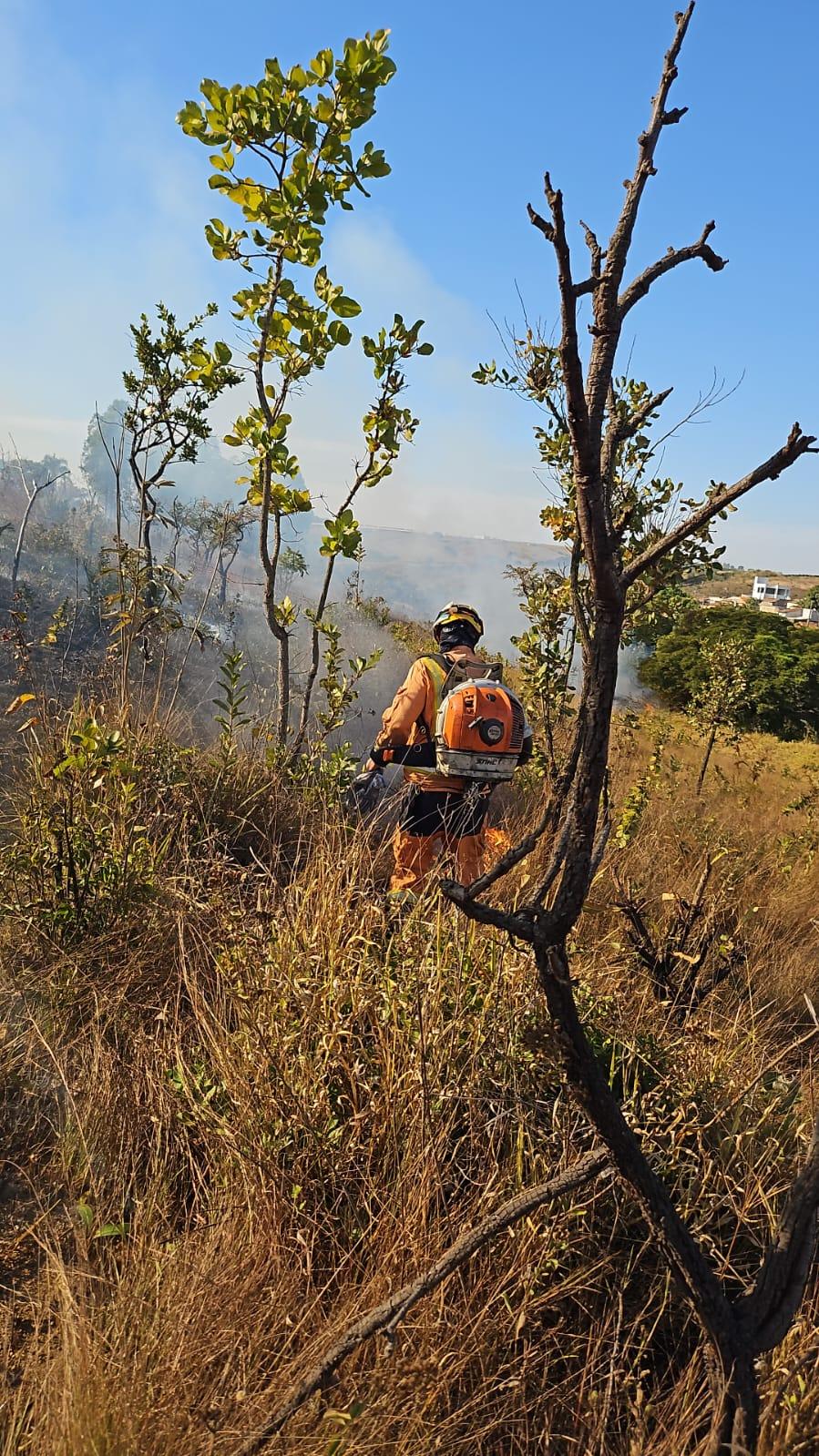 Imagem 3 do post Incêndio em pastagem atinge 10 hectares de fazenda e mobiliza Corpo de Bombeiros