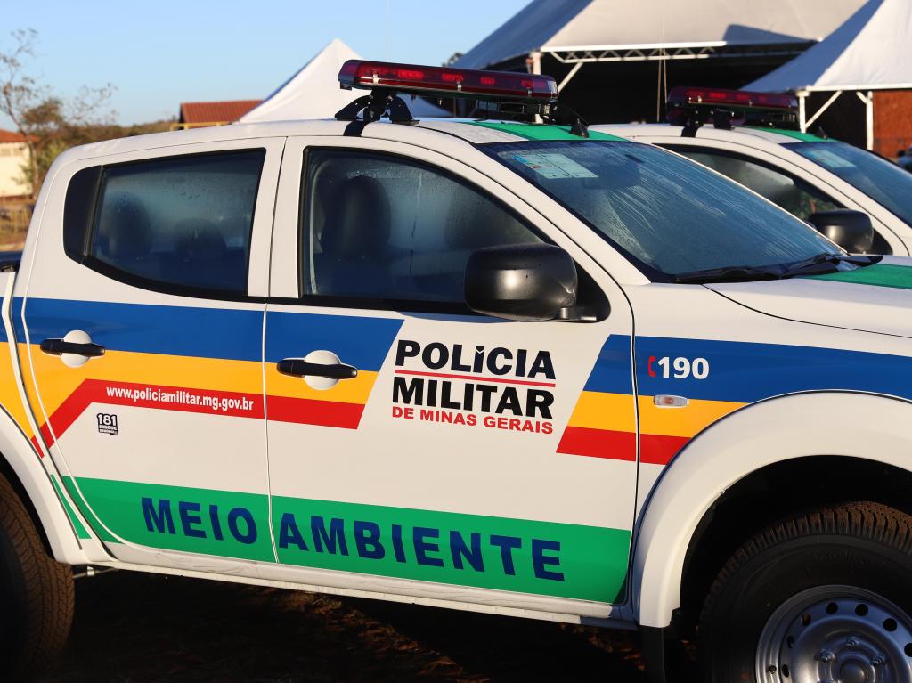 PM do Meio Ambiente apreende pássaros em Monte Carmelo;...