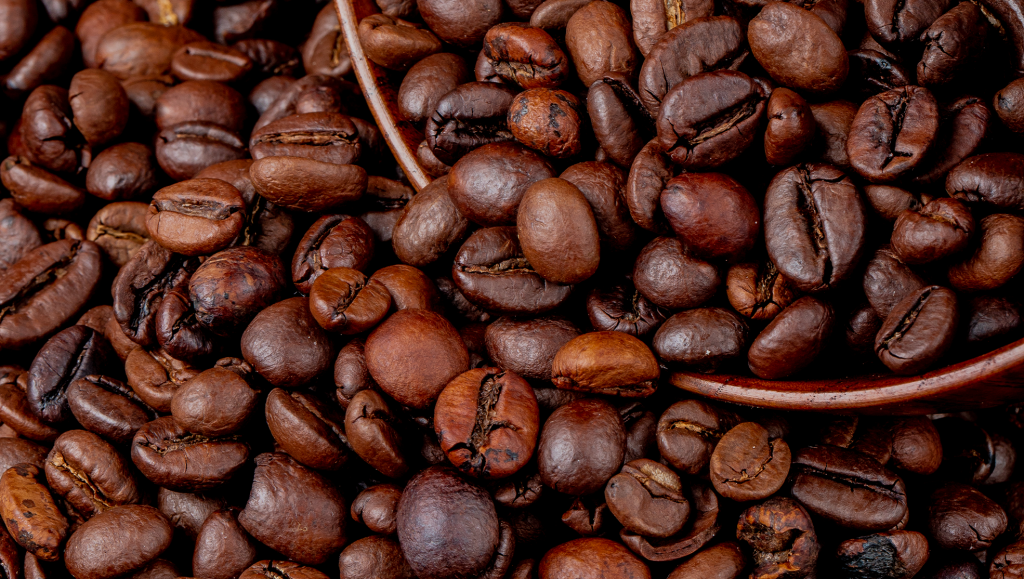 Retirada de tarifa dos EUA deve reaquecer exportações de...