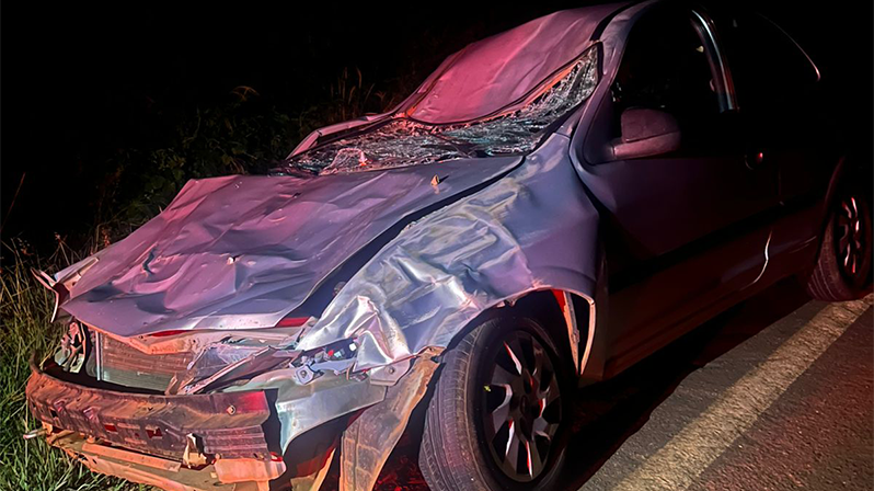 Colisão com animal deixa duas pessoas feridas na LMG-731,...