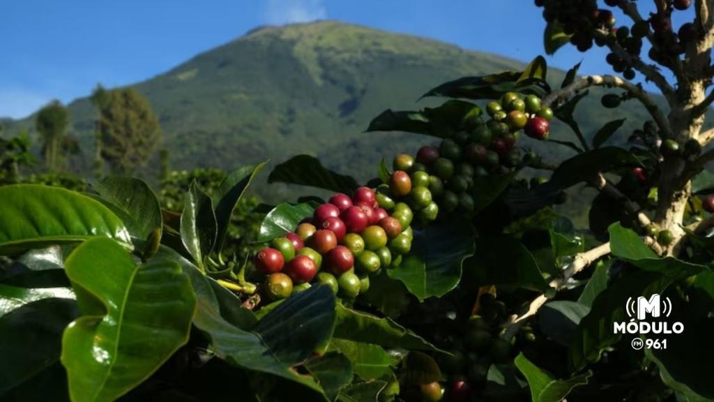 Super El Niño: fenômeno climático entra no radar do agronegócio e pode...
